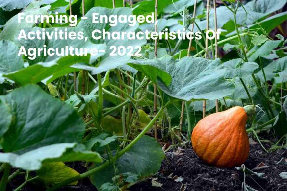 Farming - Engaged, Activities, Characteristics Of Agriculture- 2022