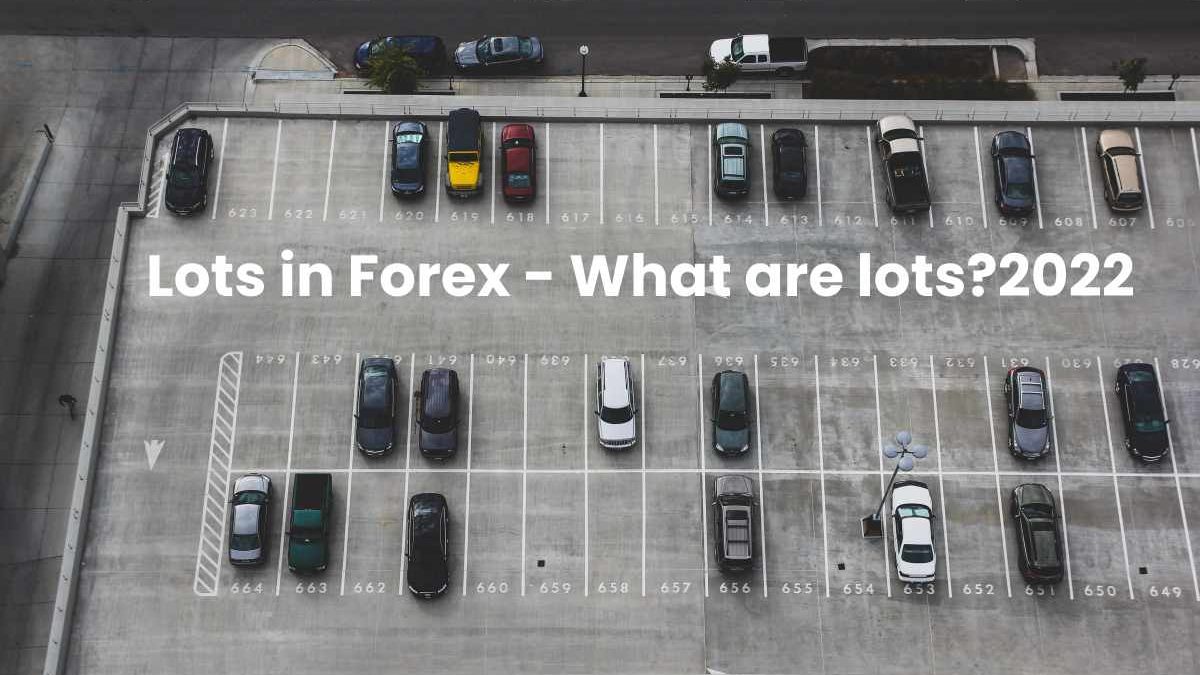 Lots in Forex – What are lots?