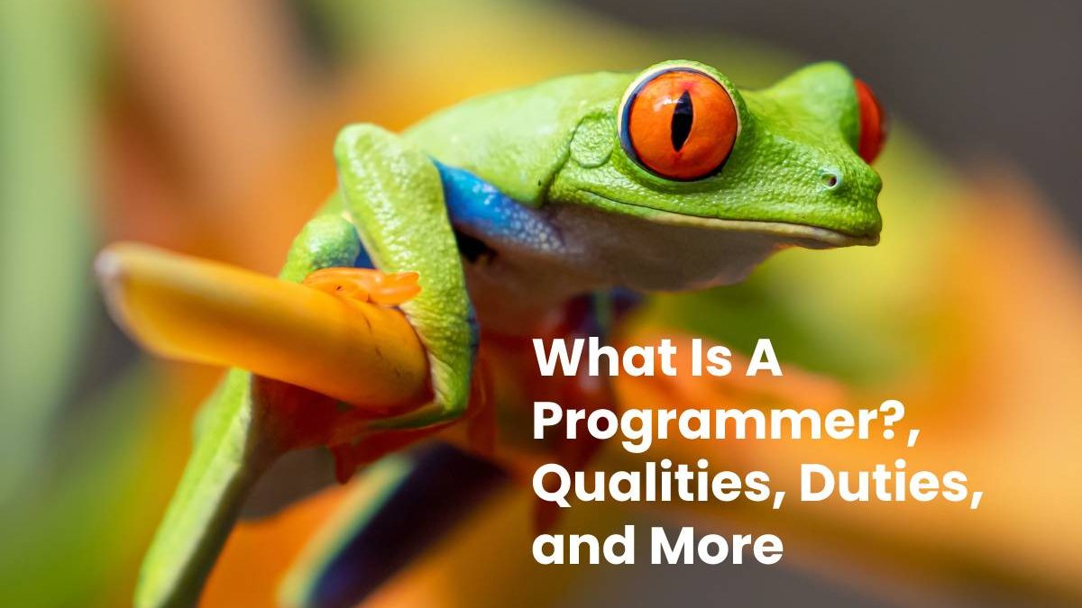 What Is A Programmer?, Qualities, Duties, and More