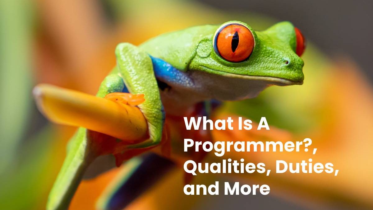 What Is A Programmer?, Qualities, Duties, and More-2023