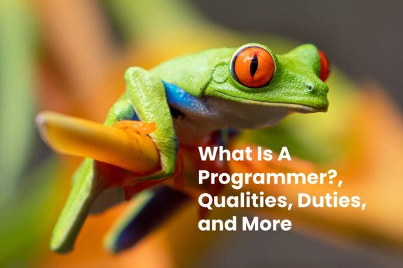 What Is A Programmer_, Qualities, Duties, and More