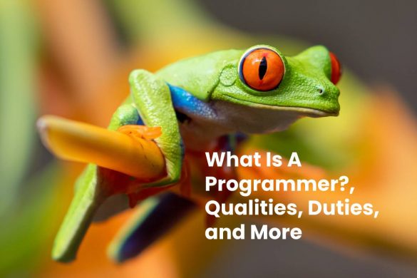 What Is A Programmer_, Qualities, Duties, and More