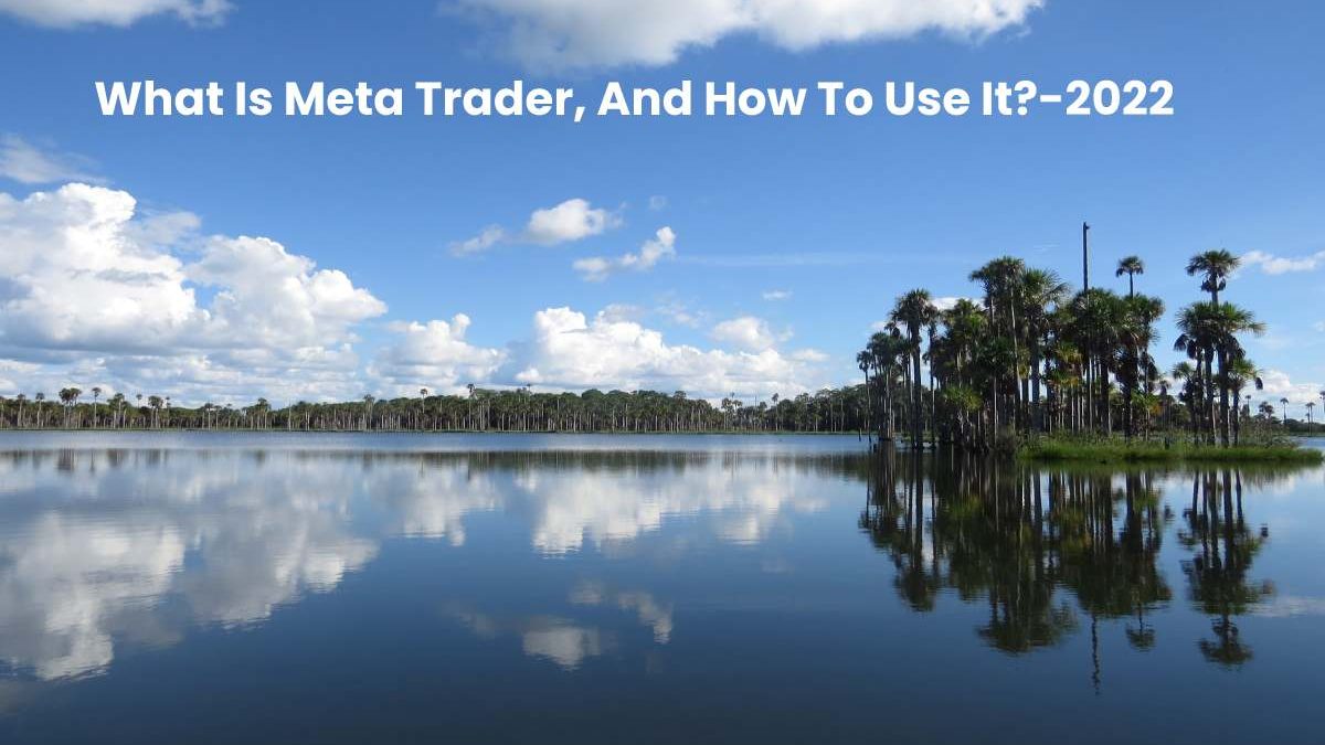 What Is Meta Trader, And How To Use It?