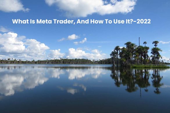 What Is Meta Trader, And How To Use It_-2022