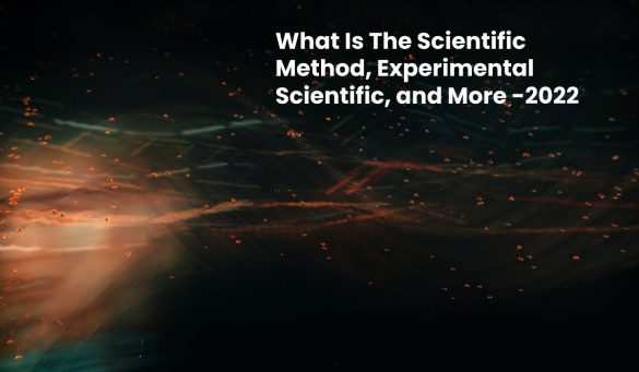 What Is The Scientific Method, Experimental Scientific, and More -2022