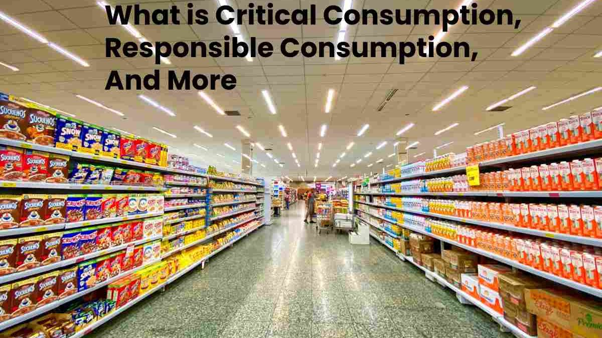 What is Critical Consumption, Responsible Consumption, And More