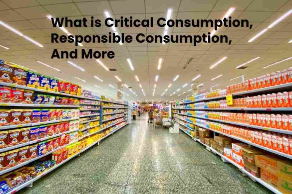 What is Critical Consumption, Responsible Consumption, And More