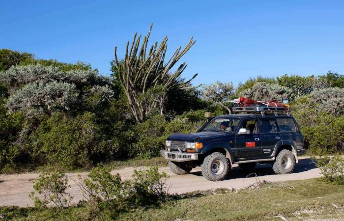 Exploring Morondava Touren Tickets Aktivitäten Und Dinge Zu Tun