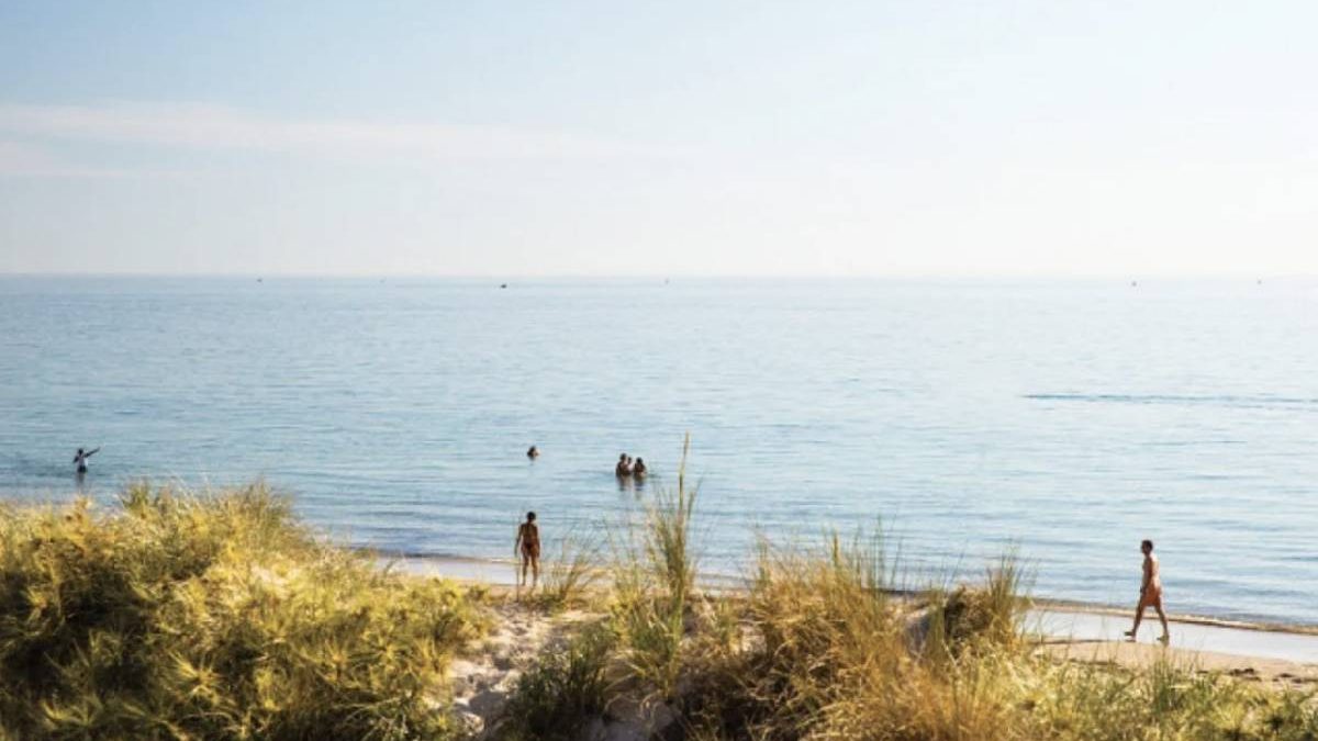 Shore Finding Reviews