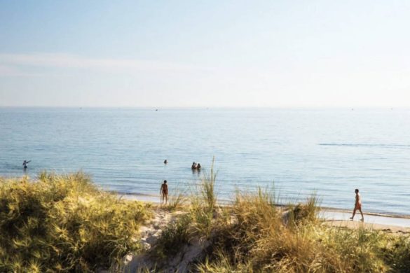 Shore Finding Reviews