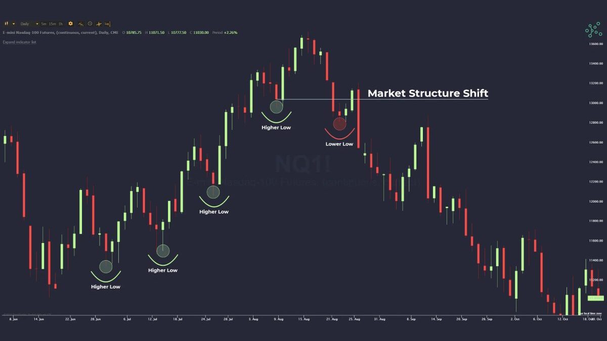 How to Build a Forex Model? Technical Analysis, Importance, And more