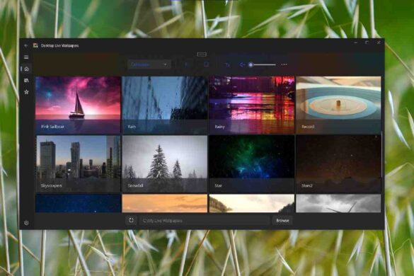 The Top Dynamic Wallpaper Apps for Windows