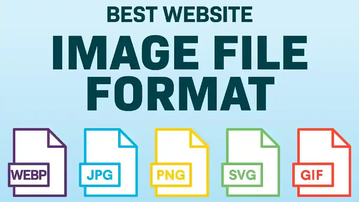 Online Document Photo Formatting: A Practical Guide to photoaid. com/en/tools